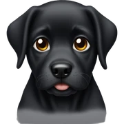 Dog black and cute sticker