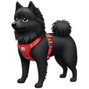 Black spitz with red harness  sticker