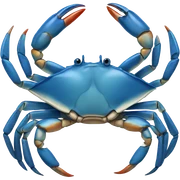 Blue Crab sticker