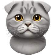 Gray Scottish fold sticker