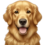 Golden retriever gold sticker