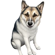 dog sitting on chair sticker