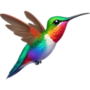  Colorful Hummingbird  sticker