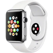 Apple Watch sticker
