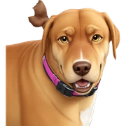 funny dog collar meme sticker