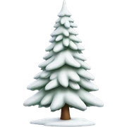  actual white fir christmas tree isolated.  sticker