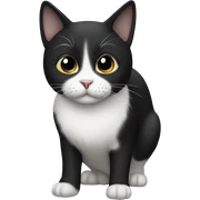 Black and white cat  sticker