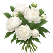 White peonies bouquet  sticker
