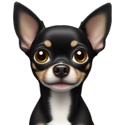black chihuahua sticker