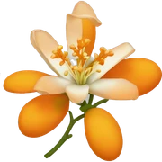 Orange blossom flower sticker