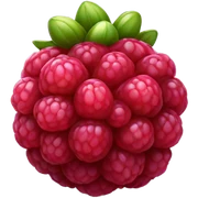 Raspberry sticker