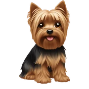 Yorkie sticker