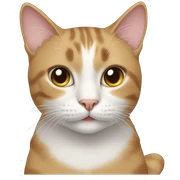 Cat sticker