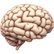 Brain sticker