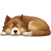 Finnish Lapphund Brown and light brown sleeping  sticker