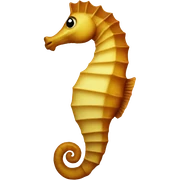 Sea Horse sticker