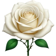 White rose sticker