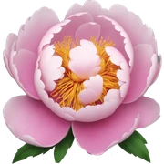 Peony sticker