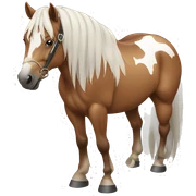 western horse sticker