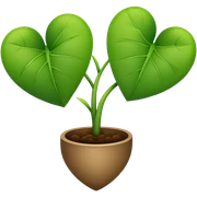 a heart plant sticker