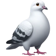 Japanese pigeon sticker