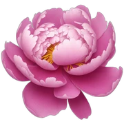 Peony sticker