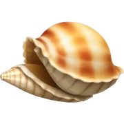 Shell  sticker
