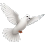 dove-peace sticker