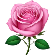 Pink sticker