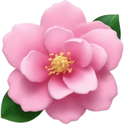 Camelia ✨ sticker
