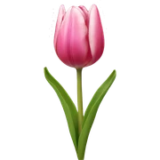 Tulip sticker