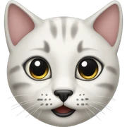 Cat with a black mouth sticker