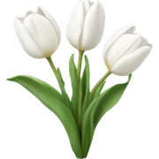 white tulips  sticker