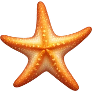 Starfish sticker