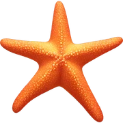 starfish sticker