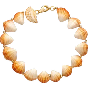 Shell bracelet sticker