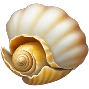 shell sticker