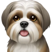 Shih Tzu sticker