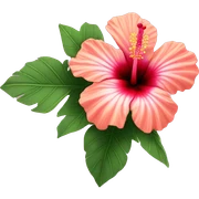 hibiscus flower sticker