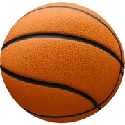 basketball sticker