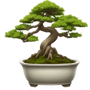 bonsai sticker