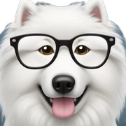 samoyed wearing glasses  sticker