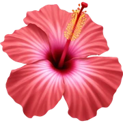 hibiscus sticker