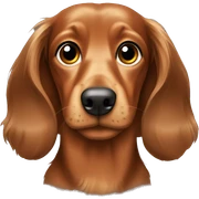 Brown longhair dachshund sticker