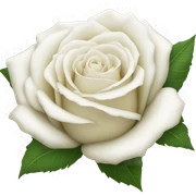 white roses sticker
