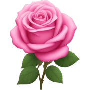 Pink roses sticker