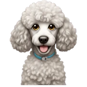 Poodle sticker