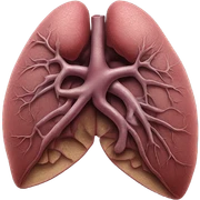 liver image sticker