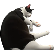 peaceful cat napping softly sticker