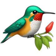 hummingbird hat sticker